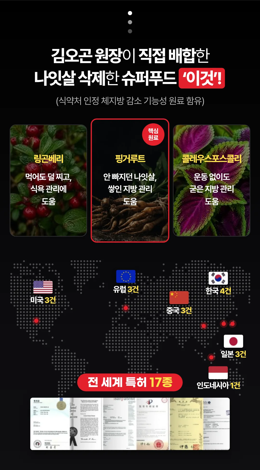 김오곤 원장이 직접 배합한 나잇살 삭제한 슈퍼푸드 — 링곤베리, 핑거루트, 콜레우스포스콜리 / 전 세계 특허 17종