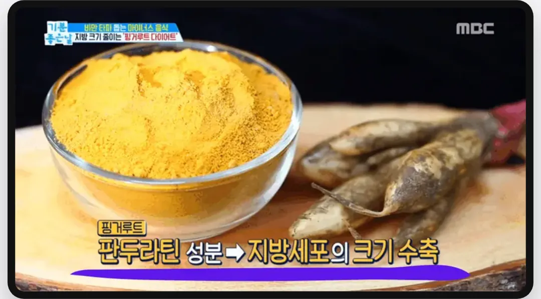 핑거루트 TV 방송 소개